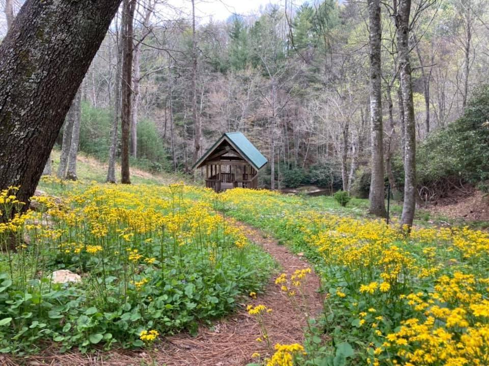 Little River Cabin Sparta Exterior photo